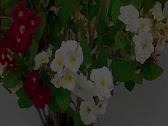 Fiore di rosa simulato Confine trasversale a più teste Fiore simulato Bouquet artificiale Decorazione nuziale