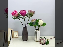 Simulazione del colore primaverile scena di sparatoria del re fiore imperatore fiore casa finta decorazione floreale matrimonio