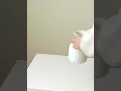 Simulazione di 8 piccoli cactus, imitazione di cactus reali e falsi, decorazione domestica, matrimonio,