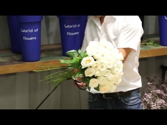 70 fogli di carta di avvolgimento impermeabile per bouquet di fiori, confezione di fiori in cellophane completamente trasparente