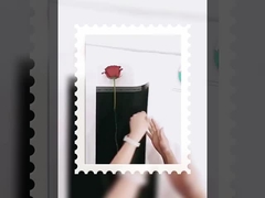 Dea singolo piccolo bouquet confezione trasparente opp film impermeabile avvolto in carta di fiori diy mate