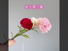 Simulato singolo ramo Kangnaixin regalo per la festa della mamma Simulato fiore di seta di alta gamma Fiore di casa Deco