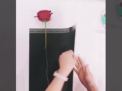 Carta di avvolgimento per il giorno della mamma con un solo fiore, sacchetto di imballaggio per un singolo bouquet di rose, avvolgimento per fiori di garofano