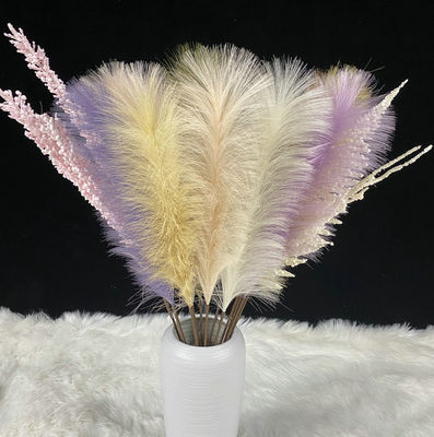 comprare Decorazione di seta artificiale del contesto della decorazione di Reed Pampas Grass Home Wedding fabbricazione online