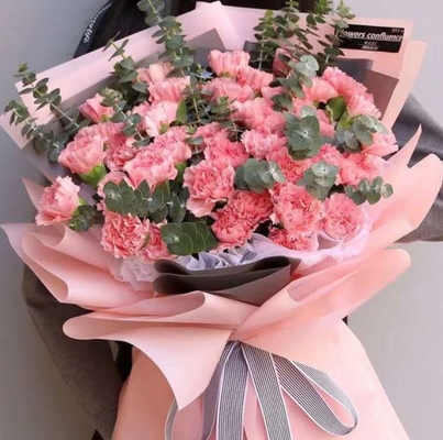 Un buon prezzo. Carta per confezionamento di fiori all'ingrosso, mazzi di fiori, sfere a bolle, carta decorativa vegetariana coreana, materiali di imballaggio floreale semi-trasparenti impermeabili in linea