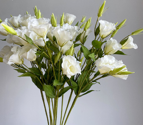 Un buon prezzo. 3 pezzi di fiori di Campanula simulati, ornamenti per la casa, fiori di seta, accessori fotografici, guide per il matrimonio, paesaggi, fiori finti in linea