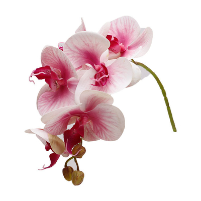 Un buon prezzo. Simulazione 3D di orchidee di farfalla decorazione di matrimonio, petali, fiori finti, piccoli fasci di fiori, fiori di orchidee di farfalla simulazione in linea