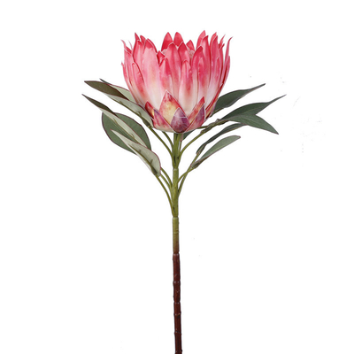 Un buon prezzo. Simulazione del colore primaverile scena di sparatoria del re fiore imperatore fiore casa finta decorazione del fiore matrimonio re fiore simulazione fiore in linea