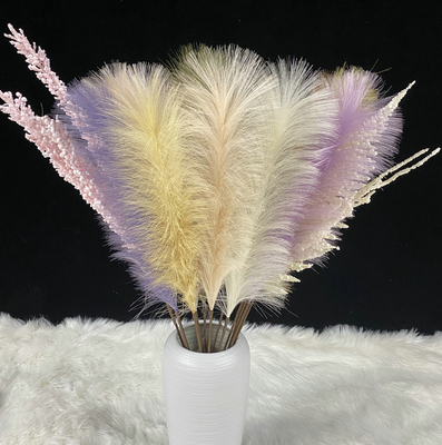 Un buon prezzo. Decorazione di seta artificiale del contesto della decorazione di Reed Pampas Grass Home Wedding in linea