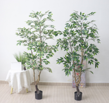 Un buon prezzo. Albero artificiale di plastica di ficus del ramo dei bonsai del banyan di Microcarpa della foglia falsa di verde all'aperto in linea