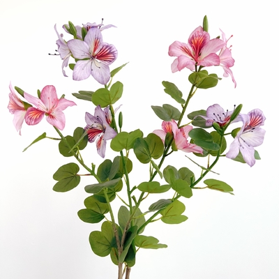 Un buon prezzo. Fiore di Bauhinia artificiale di plastica per la casa e per l'albergo in linea