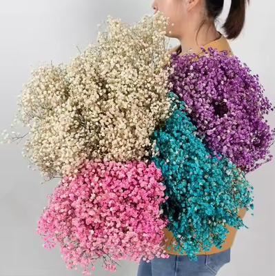 Un buon prezzo. 100g di fiori secchi Bouquet artificiale Baby Breath Gypsophila Fiore Decorazione nuziale Piatto centrale in linea