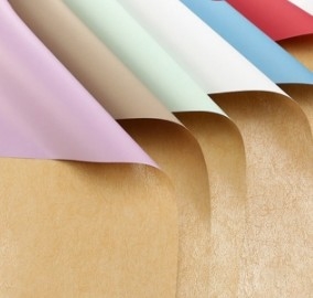 Un buon prezzo. Carta di Cynthia Pullman per imballaggi di fiori in linea