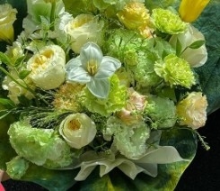 Un buon prezzo. Carta da imballaggio per fiori della serie primavera del piccolo principe in linea