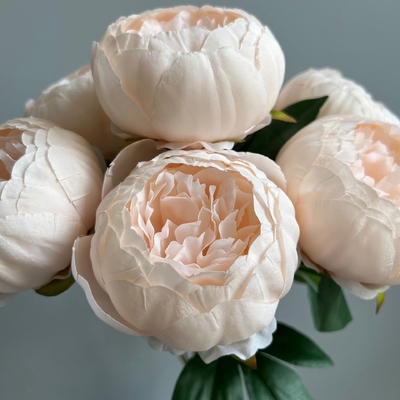 Un buon prezzo. 7 teste di pionia nucleo simulazione bouquet fiore di matrimonio materiale pionia pionia sala nuziale simulazione fiore in linea