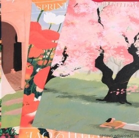 Un buon prezzo. Fioraio Imballaggio Fiori di primavera Carta impermeabile per imballaggio di fiori floreali in molti colori per imballaggio di bouquet in linea