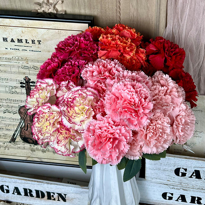 Un buon prezzo. Fiori artificiali di garofano, fiori di plastica artificiale, ornamenti di salotto di lusso, prodotti finiti di fiori di nozze in linea