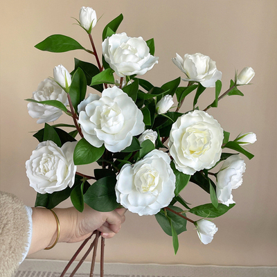 Un buon prezzo. Fiori artificiali, ornamenti per la decorazione domestica, oggetti fotografici in linea