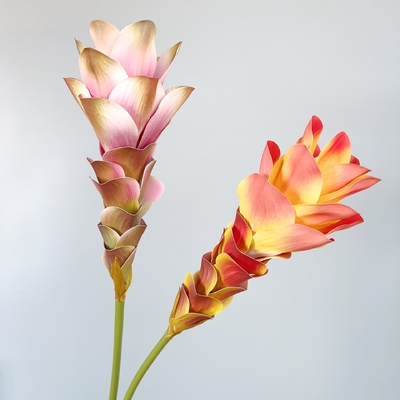 Un buon prezzo. Fiori simulati, Fiori di zenzero, Fiori di loto, Stampa 3D, Fiori a texture, Decorazione domestica, Decorazione di camere modello, Requisiti per lo scenario nuziale, Bouquet in linea