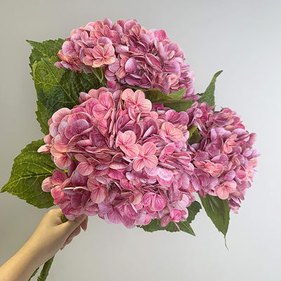 Un buon prezzo. Fiori di ortensia biomimetici, fiori simulati, tocco idratante, bouquet di ortensia, decorazioni per il tavolo da pranzo del soggiorno, decorazioni per i fiori di nozze in linea