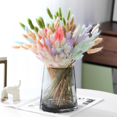 Un buon prezzo. Sito web ins bouquet di fiori rossi fiore della vita eterna decorazione del soggiorno casa ornamento coda di coniglio erba coda di cane erba secca fiore in linea