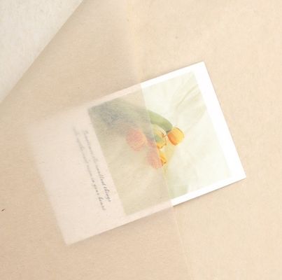 Un buon prezzo. Effortlessly Elegant Korean-Style Copy Paper for Flower Wrapping and Gift Packaging in linea